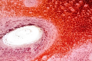 Kỳ lạ hồ nước nhiều màu sắc